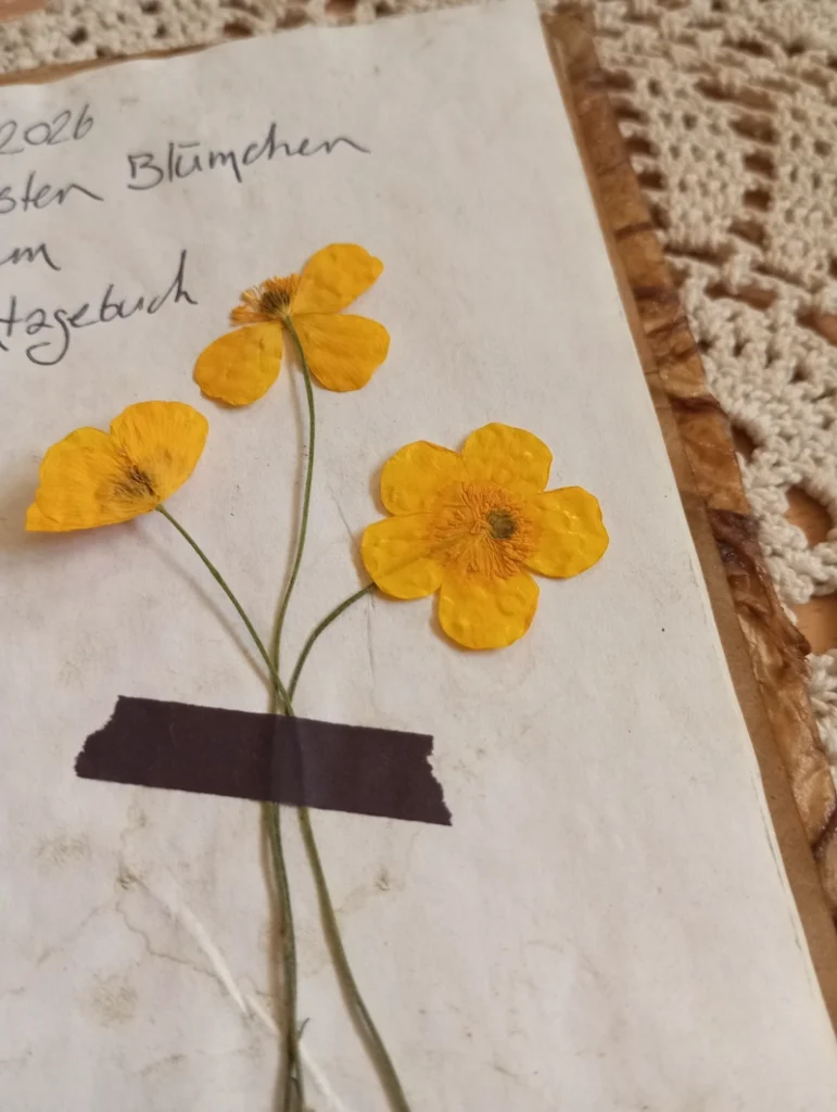 Gepresste, gelbe Blümchen, die in ein kleines Büchlein geklebt wurden. In der linken oberen Ecke ist Text zu sehen - Tagebucheintrag
Das Bild hat einen Vintage-Stil.