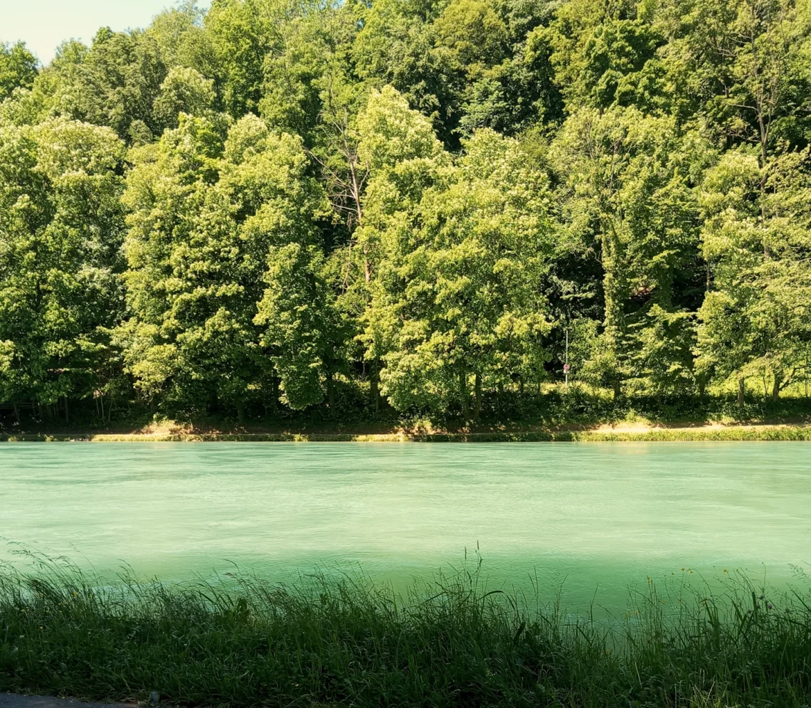 Ein Fluß mit Wald dahinter im Sommer bei schönem Wetter