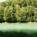 Ein Fluß mit Wald dahinter im Sommer bei schönem Wetter