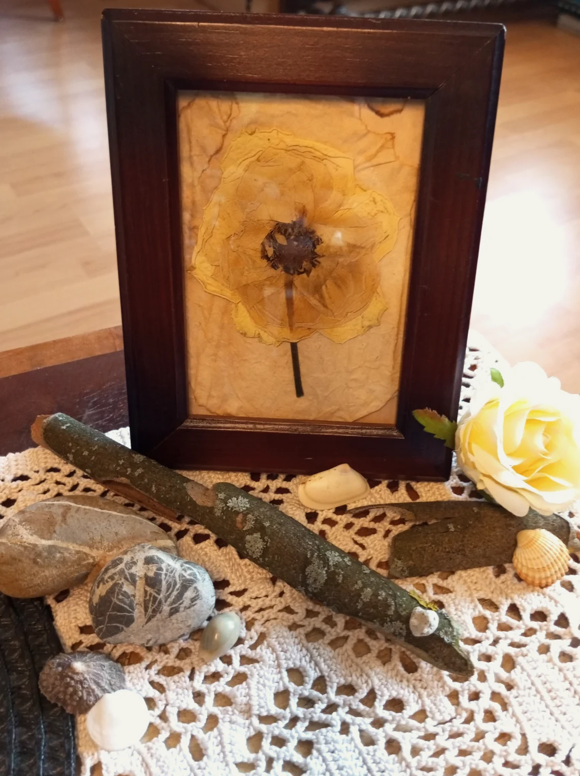 Gerahmte gepresste weiße Rose auf Papier, dekoriert mit Ästen, Steinen und Muscheln auf Häkeldecke