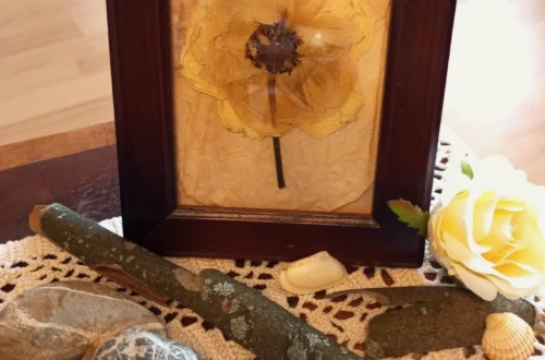Gerahmte gepresste weiße Rose auf Papier, dekoriert mit Ästen, Steinen und Muscheln auf Häkeldecke