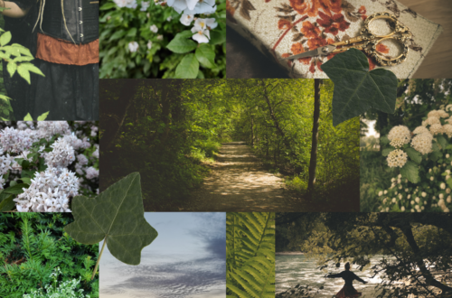 Moodboar mit viel Grün, Bilder der Natur und mit einem Cottagecore-Vibe.