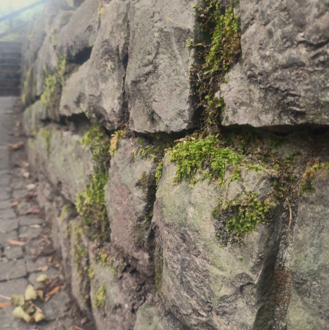 Mit Moos überwachsene Steinmauer