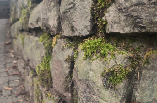 Mit Moos überwachsene Steinmauer